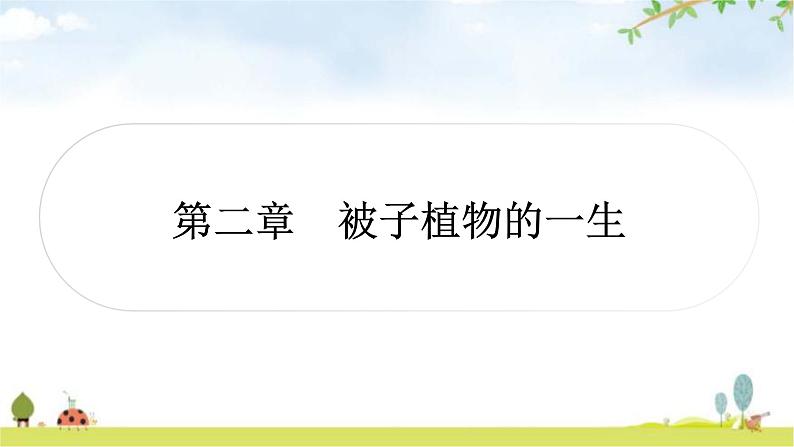 中考生物复习七年级上册第三单元第二章被子植物的一生教学课件01