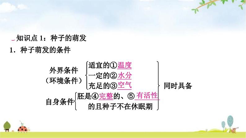 中考生物复习七年级上册第三单元第二章被子植物的一生教学课件02