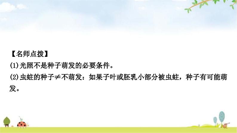 中考生物复习七年级上册第三单元第二章被子植物的一生教学课件03