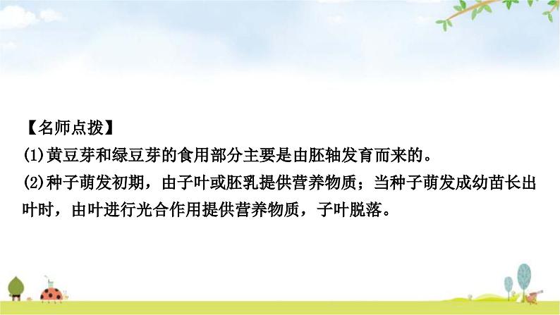 中考生物复习七年级上册第三单元第二章被子植物的一生教学课件05