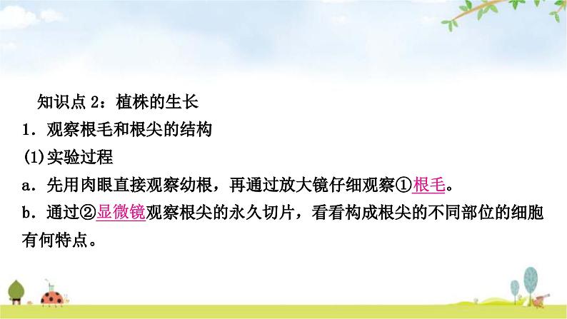 中考生物复习七年级上册第三单元第二章被子植物的一生教学课件08