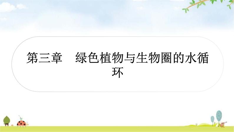 中考生物复习七年级上册第三单元第三章绿色植物与生物圈的水循环教学课件第1页