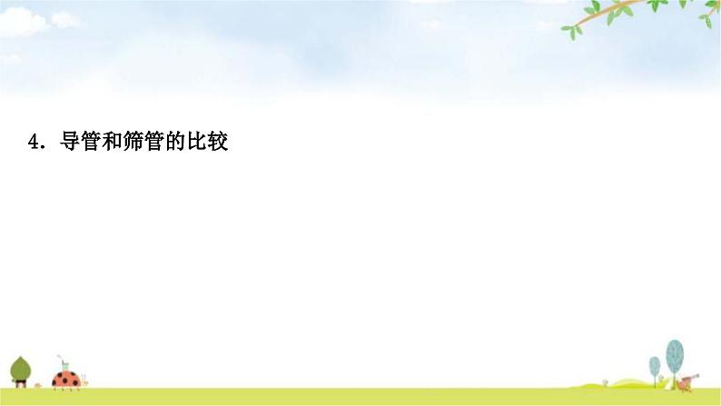 中考生物复习七年级上册第三单元第三章绿色植物与生物圈的水循环教学课件第3页