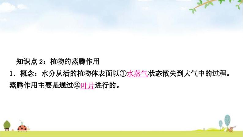 中考生物复习七年级上册第三单元第三章绿色植物与生物圈的水循环教学课件第5页