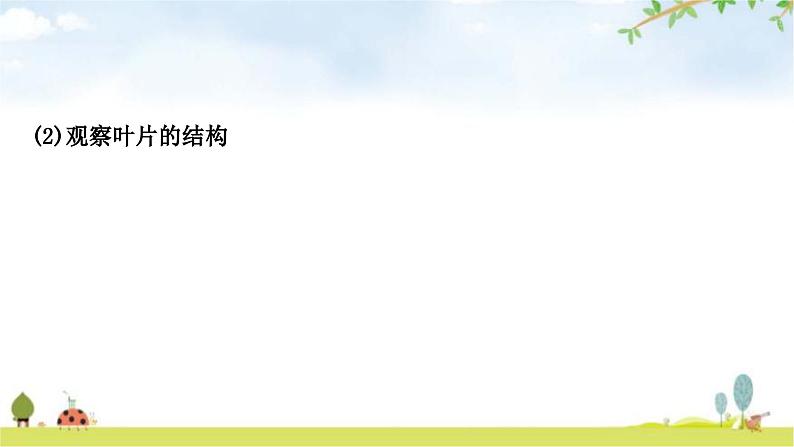 中考生物复习七年级上册第三单元第三章绿色植物与生物圈的水循环教学课件第7页