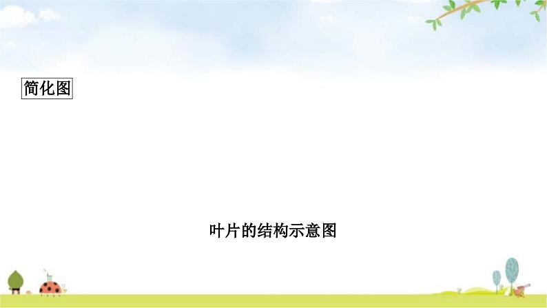 中考生物复习七年级上册第三单元第三章绿色植物与生物圈的水循环教学课件第8页