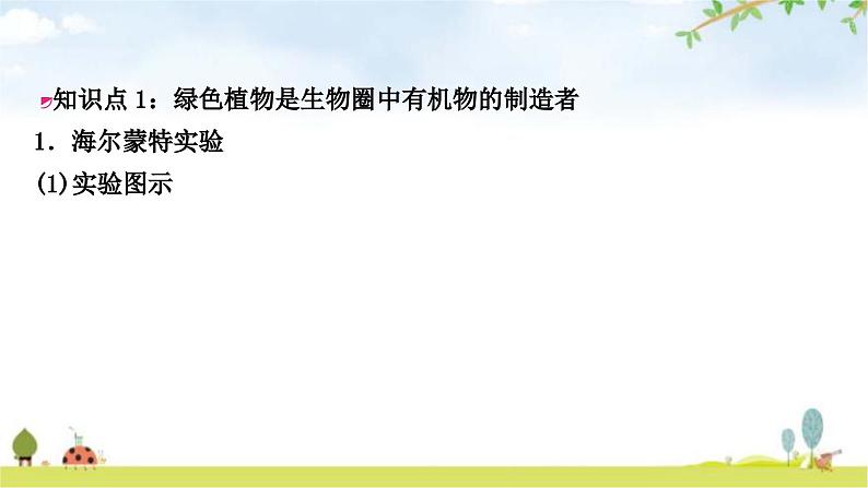 中考生物复习七年级上册第三单元第四章第五章教学课件02