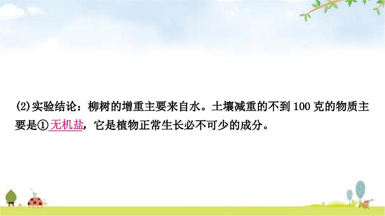 中考生物复习七年级上册第三单元第四章第五章教学课件03