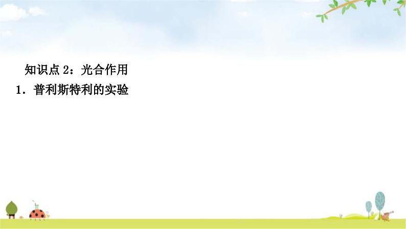 中考生物复习七年级上册第三单元第四章第五章教学课件06