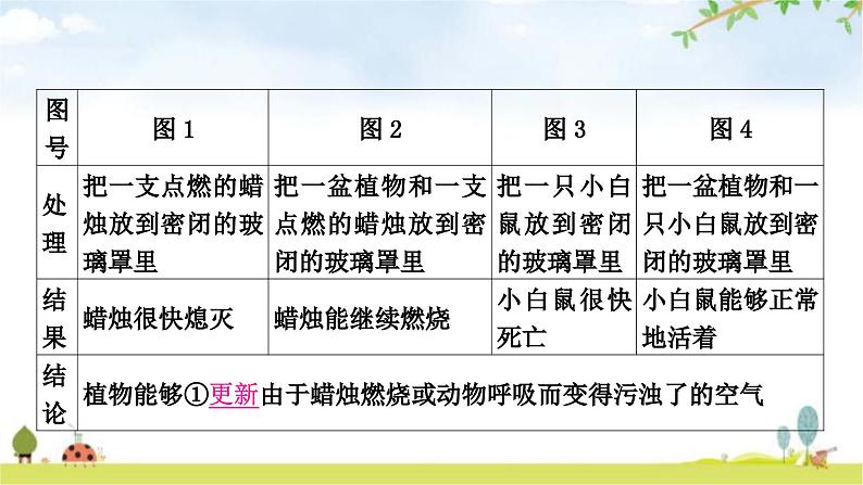 中考生物复习七年级上册第三单元第四章第五章教学课件07