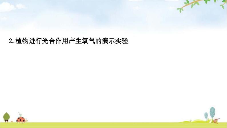 中考生物复习七年级上册第三单元第四章第五章教学课件08