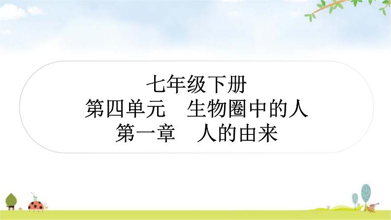 中考生物复习七年级下册第四单元生物圈中的人第一章人的由来教学课件01