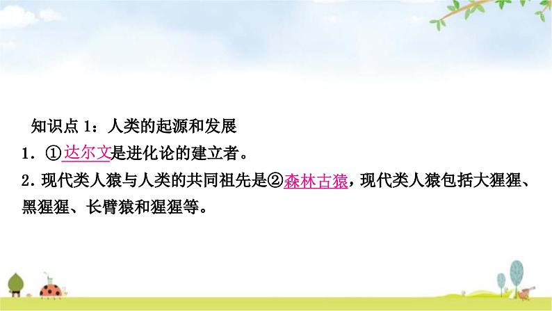 中考生物复习七年级下册第四单元生物圈中的人第一章人的由来教学课件02