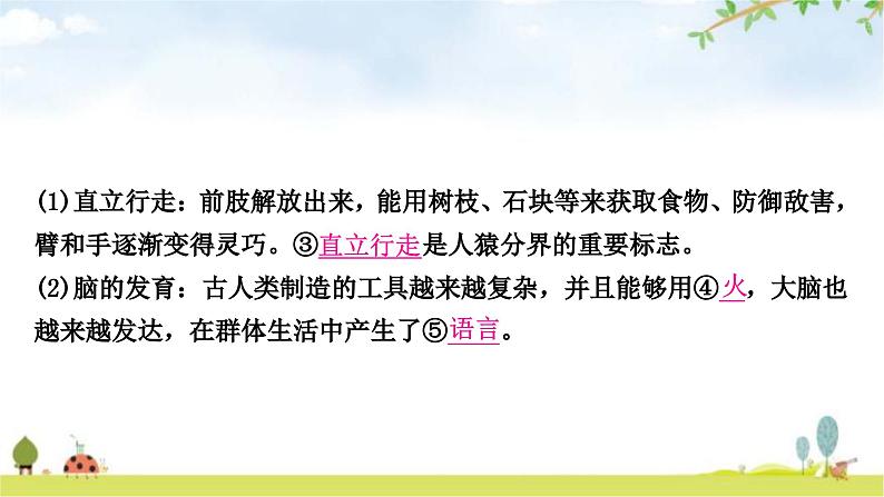 中考生物复习七年级下册第四单元生物圈中的人第一章人的由来教学课件04