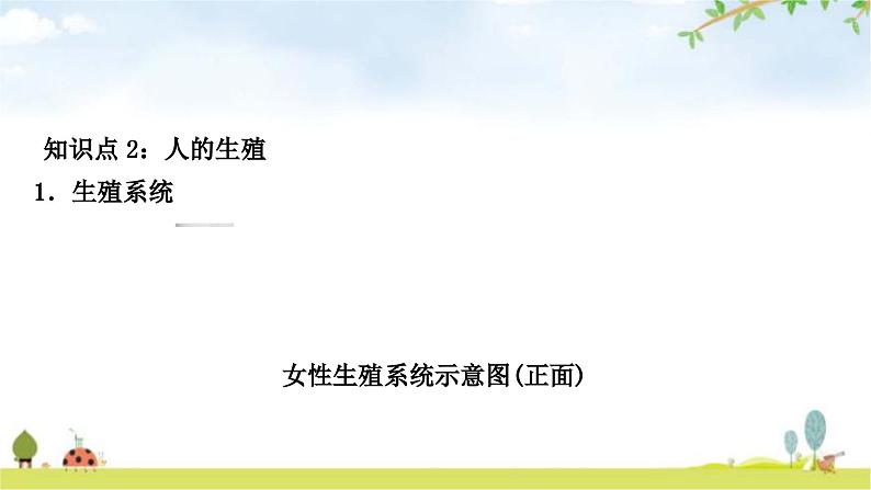 中考生物复习七年级下册第四单元生物圈中的人第一章人的由来教学课件06