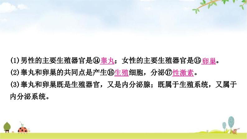 中考生物复习七年级下册第四单元生物圈中的人第一章人的由来教学课件08