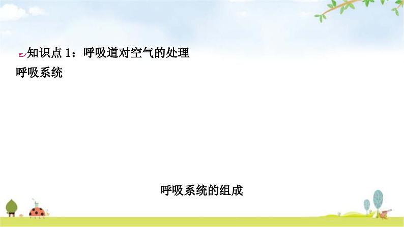 中考生物复习七年级下册第四单元生物圈中的人第三章人体的呼吸教学课件02