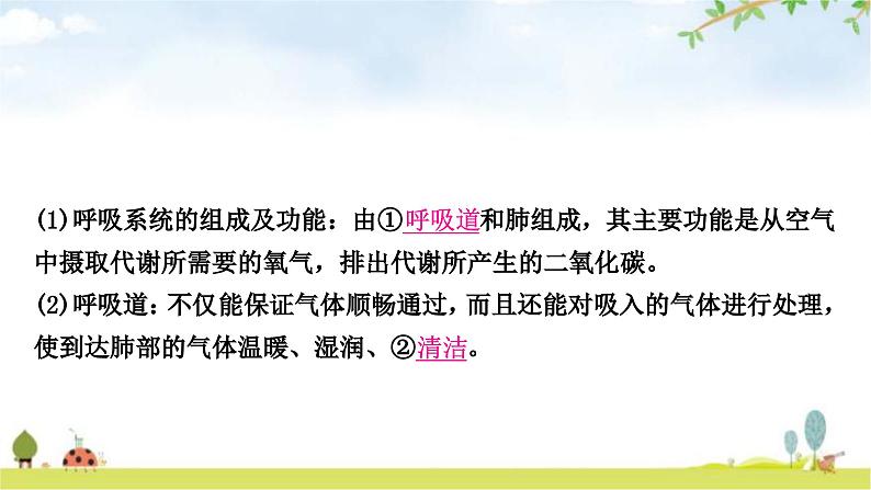 中考生物复习七年级下册第四单元生物圈中的人第三章人体的呼吸教学课件03