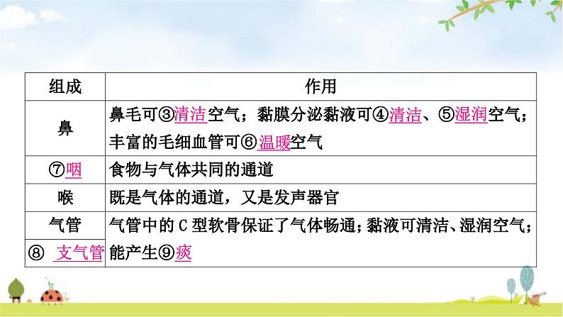 中考生物复习七年级下册第四单元生物圈中的人第三章人体的呼吸教学课件04