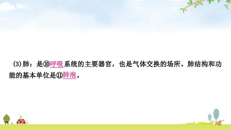 中考生物复习七年级下册第四单元生物圈中的人第三章人体的呼吸教学课件05