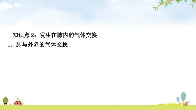 中考生物复习七年级下册第四单元生物圈中的人第三章人体的呼吸教学课件06