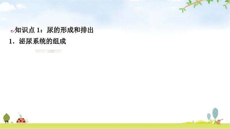 中考生物复习七年级下册第四单元生物圈中的人第五章人体内废物的排出教学课件02