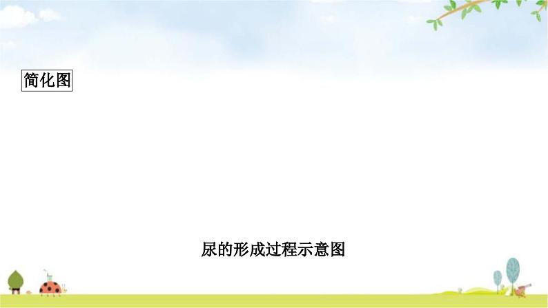 中考生物复习七年级下册第四单元生物圈中的人第五章人体内废物的排出教学课件08