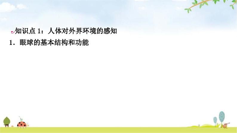 中考生物复习七年级下册第四单元生物圈中的人第六章第七章教学课件02