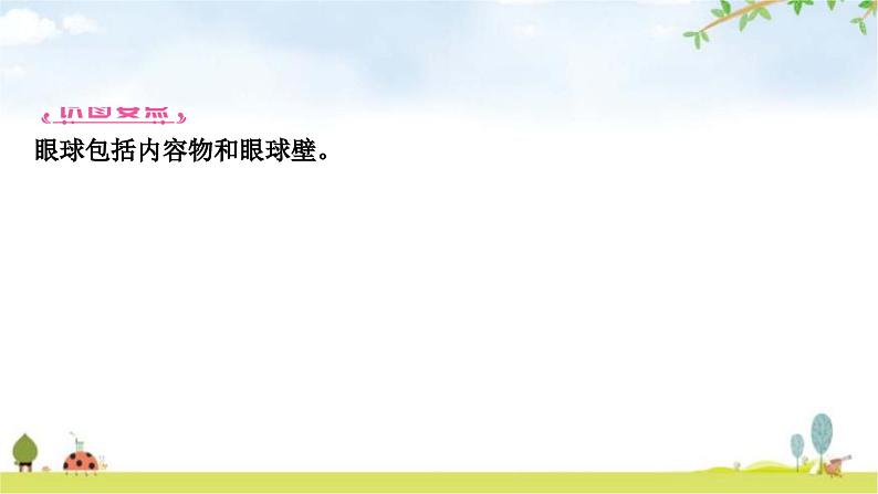 中考生物复习七年级下册第四单元生物圈中的人第六章第七章教学课件03