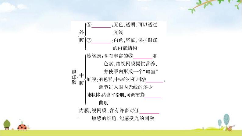 中考生物复习七年级下册第四单元生物圈中的人第六章第七章教学课件04