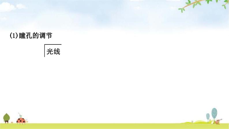 中考生物复习七年级下册第四单元生物圈中的人第六章第七章教学课件06