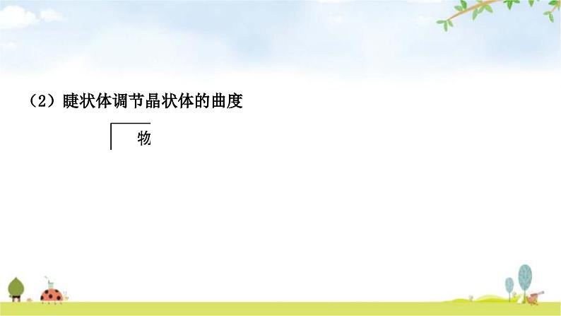 中考生物复习七年级下册第四单元生物圈中的人第六章第七章教学课件07