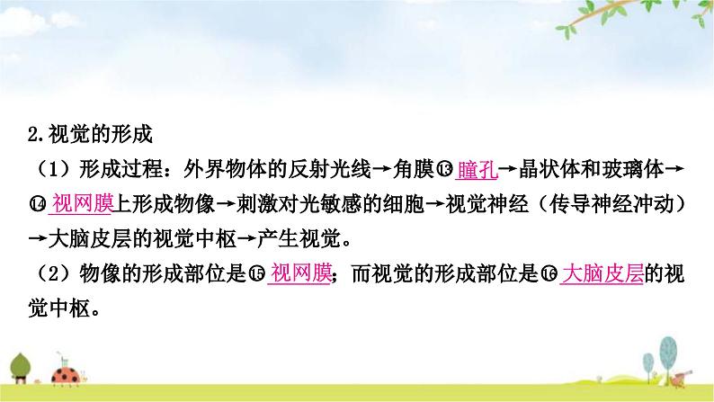 中考生物复习七年级下册第四单元生物圈中的人第六章第七章教学课件08