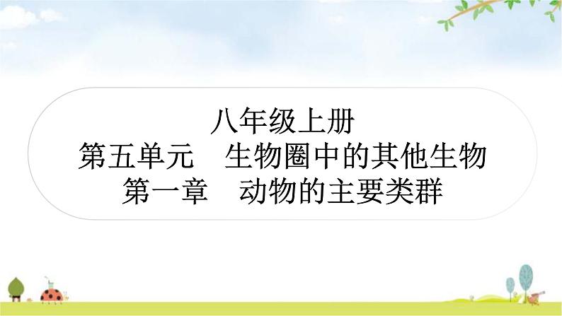 中考生物复习八年级上册第五单元生物圈中的其他生物第一章动物的主要类群教学课件01