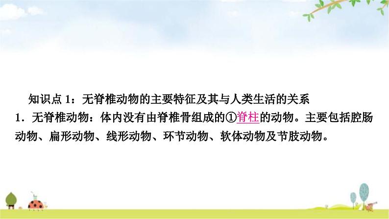 中考生物复习八年级上册第五单元生物圈中的其他生物第一章动物的主要类群教学课件02