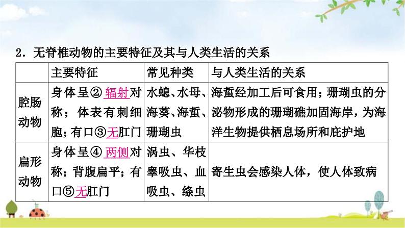 中考生物复习八年级上册第五单元生物圈中的其他生物第一章动物的主要类群教学课件03