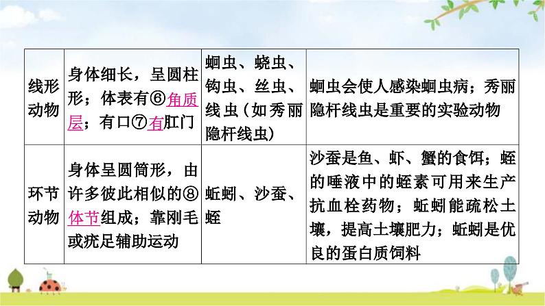 中考生物复习八年级上册第五单元生物圈中的其他生物第一章动物的主要类群教学课件04