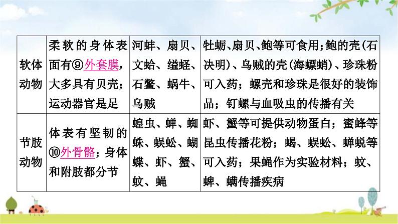 中考生物复习八年级上册第五单元生物圈中的其他生物第一章动物的主要类群教学课件05