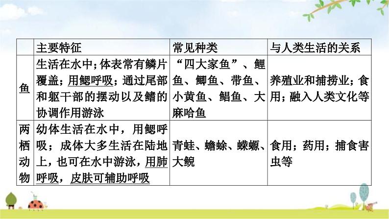 中考生物复习八年级上册第五单元生物圈中的其他生物第一章动物的主要类群教学课件07