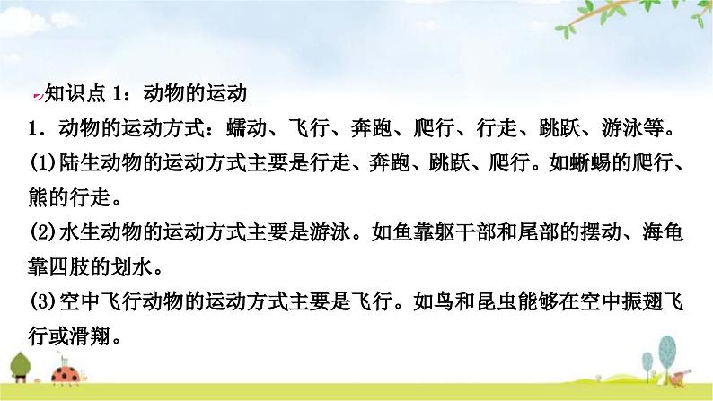 中考生物复习八年级上册第五单元生物圈中的其他生物第二章第三章教学课件02