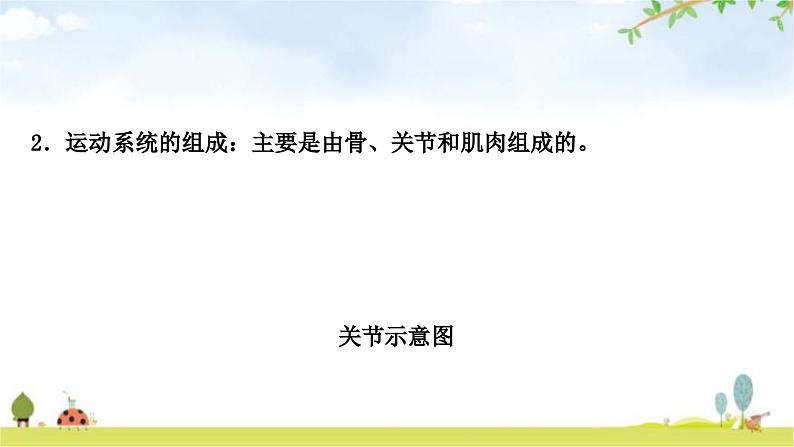 中考生物复习八年级上册第五单元生物圈中的其他生物第二章第三章教学课件03