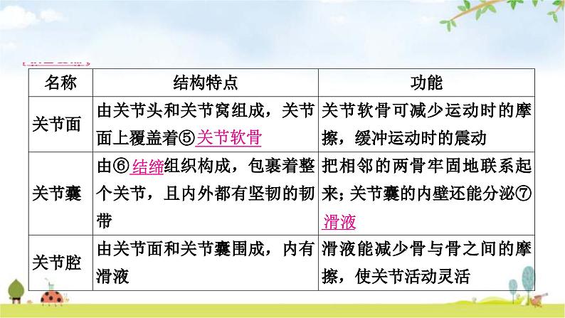 中考生物复习八年级上册第五单元生物圈中的其他生物第二章第三章教学课件04