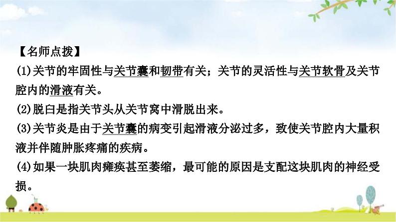 中考生物复习八年级上册第五单元生物圈中的其他生物第二章第三章教学课件05