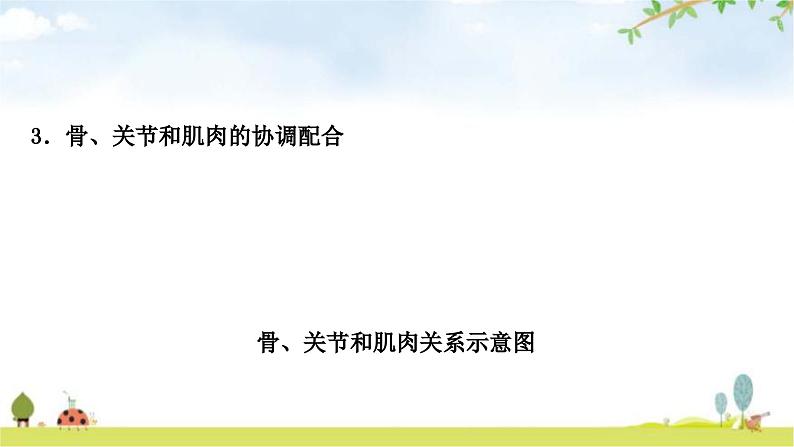 中考生物复习八年级上册第五单元生物圈中的其他生物第二章第三章教学课件06