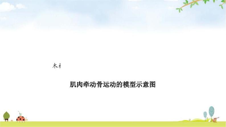 中考生物复习八年级上册第五单元生物圈中的其他生物第二章第三章教学课件07