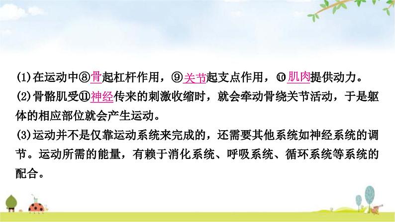 中考生物复习八年级上册第五单元生物圈中的其他生物第二章第三章教学课件08