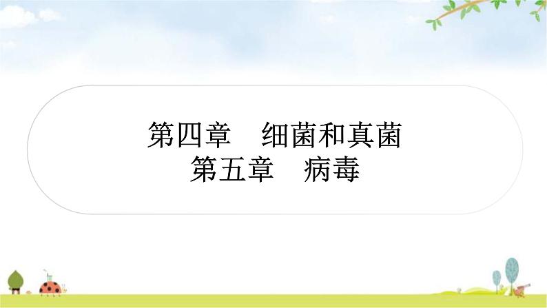 中考生物复习八年级上册第五单元生物圈中的其他生物第四章细菌和真菌第五章病毒教学课件01