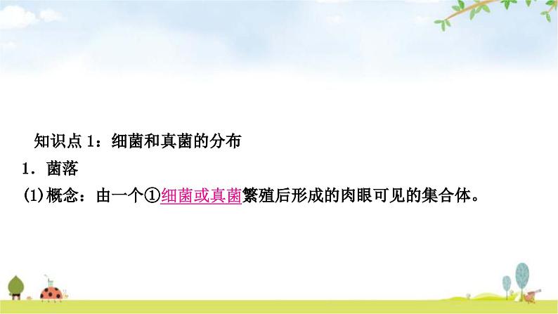 中考生物复习八年级上册第五单元生物圈中的其他生物第四章细菌和真菌第五章病毒教学课件02