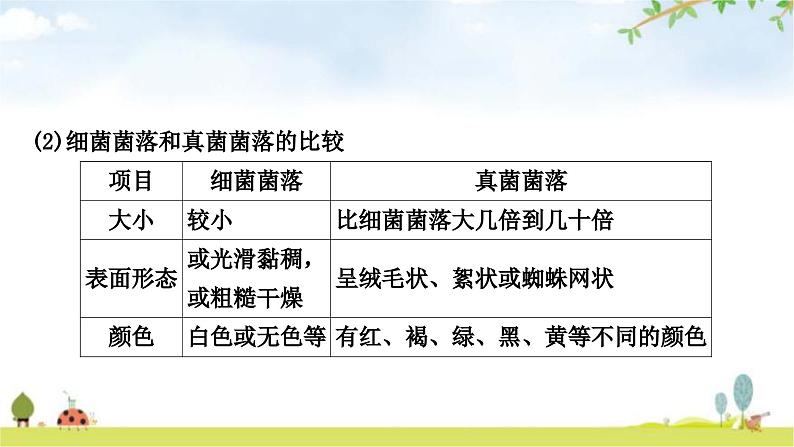 中考生物复习八年级上册第五单元生物圈中的其他生物第四章细菌和真菌第五章病毒教学课件03