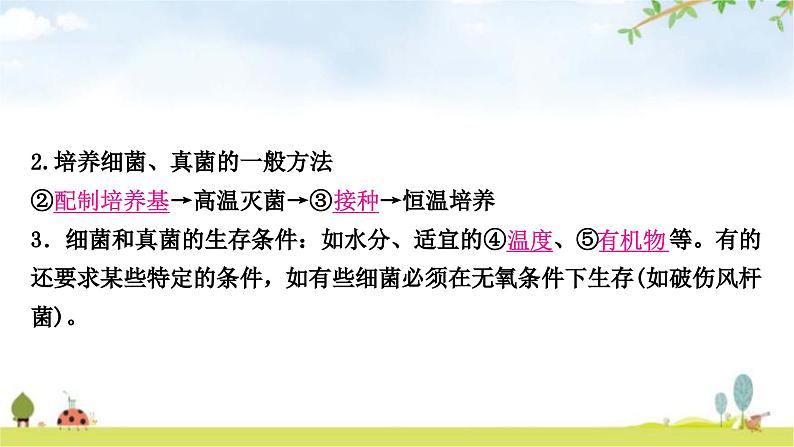 中考生物复习八年级上册第五单元生物圈中的其他生物第四章细菌和真菌第五章病毒教学课件04